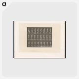 アートポストカード-Running Woman
 - エドワード マイブリッジ Postcard.