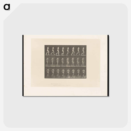 アートポストカード-Running Woman
 - エドワード マイブリッジ Postcard.
