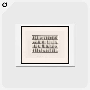 アートポストカード-Meeting Women
 - エドワード マイブリッジ Postcard.