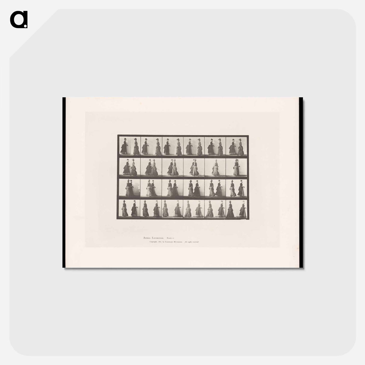 アートポストカード-Meeting Women
 - エドワード マイブリッジ Postcard.