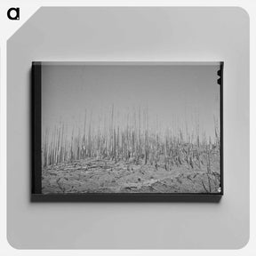 アートパネル-No Vacancy
 - ラッセル リー Canvas.