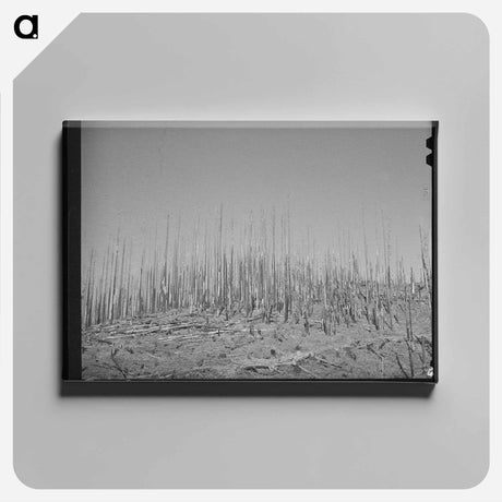 アートパネル-No Vacancy
 - ラッセル リー Canvas.