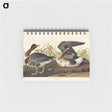 アートメモ帳-White-fronted Goose from Birds of America
 - アメリカの鳥たち Memo.