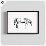 アートポスター-Arabian Horse
 - 大英図書館 Poster.