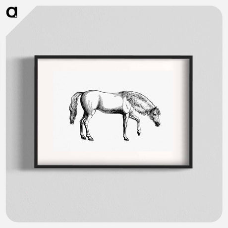 アートポスター-Arabian Horse
 - 大英図書館 Poster.