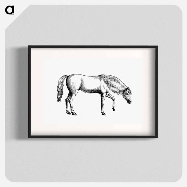 アートポスター-Arabian Horse
 - 大英図書館 Poster.