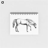 アートメモ帳-Arabian Horse
 - 大英図書館 Memo.