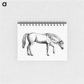 アートメモ帳-Arabian Horse
 - 大英図書館 Memo.