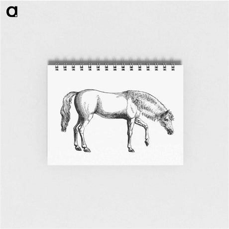 アートメモ帳-Arabian Horse
 - 大英図書館 Memo.