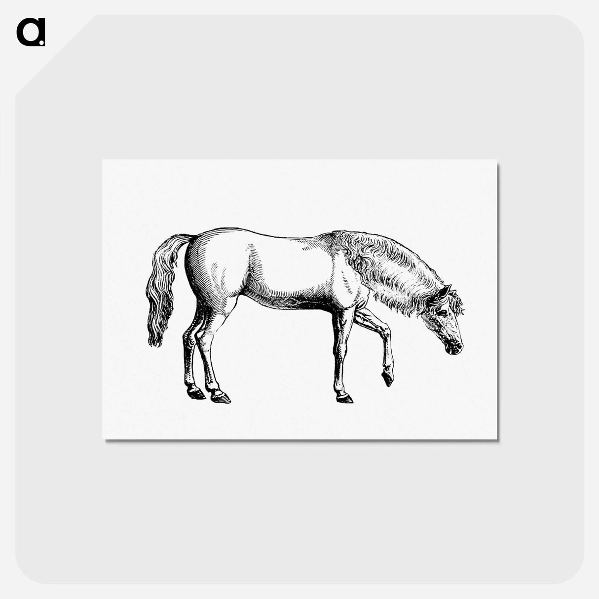 アートポストカード-Arabian Horse
 - 大英図書館 Postcard.