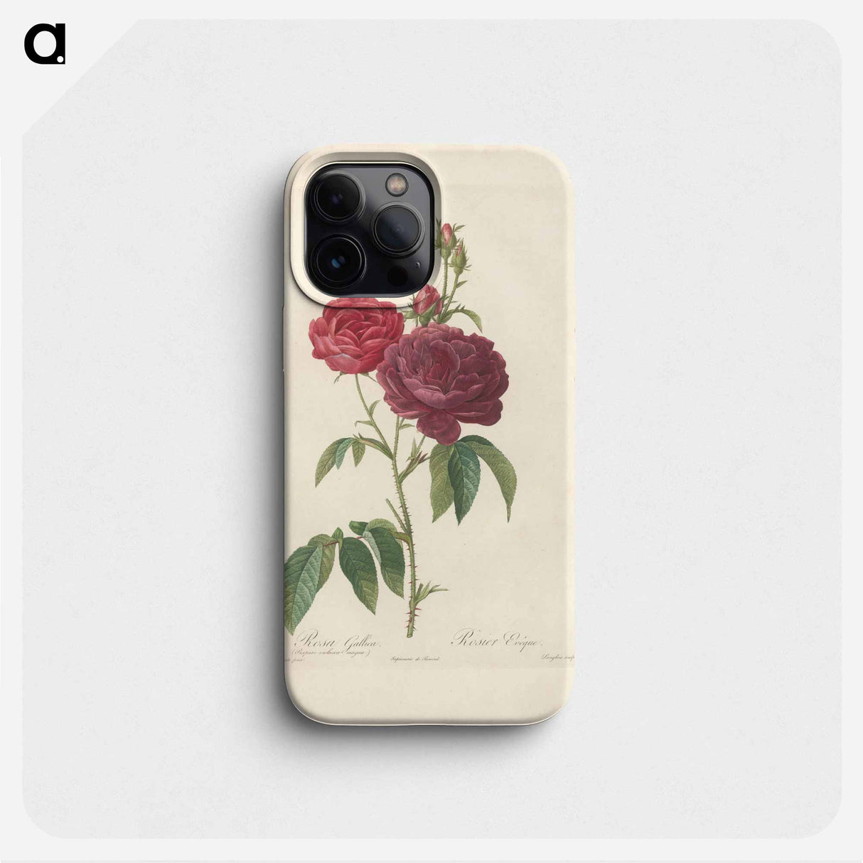 Rose illustration - ピエール ジョゼフ ルドゥーテ Phone Case.
