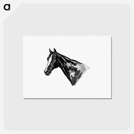 アートポストカード-Victorian Horse Head
 - 大英図書館 Postcard.