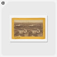 アートポストカード-Cerro del Carmen
 - エドワード マイブリッジ Postcard.