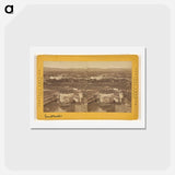 アートポストカード-Cerro del Carmen
 - エドワード マイブリッジ Postcard.