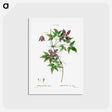 アートポストカード-Alpine clematis - ピエール ジョゼフ ルドゥーテ Postcard.