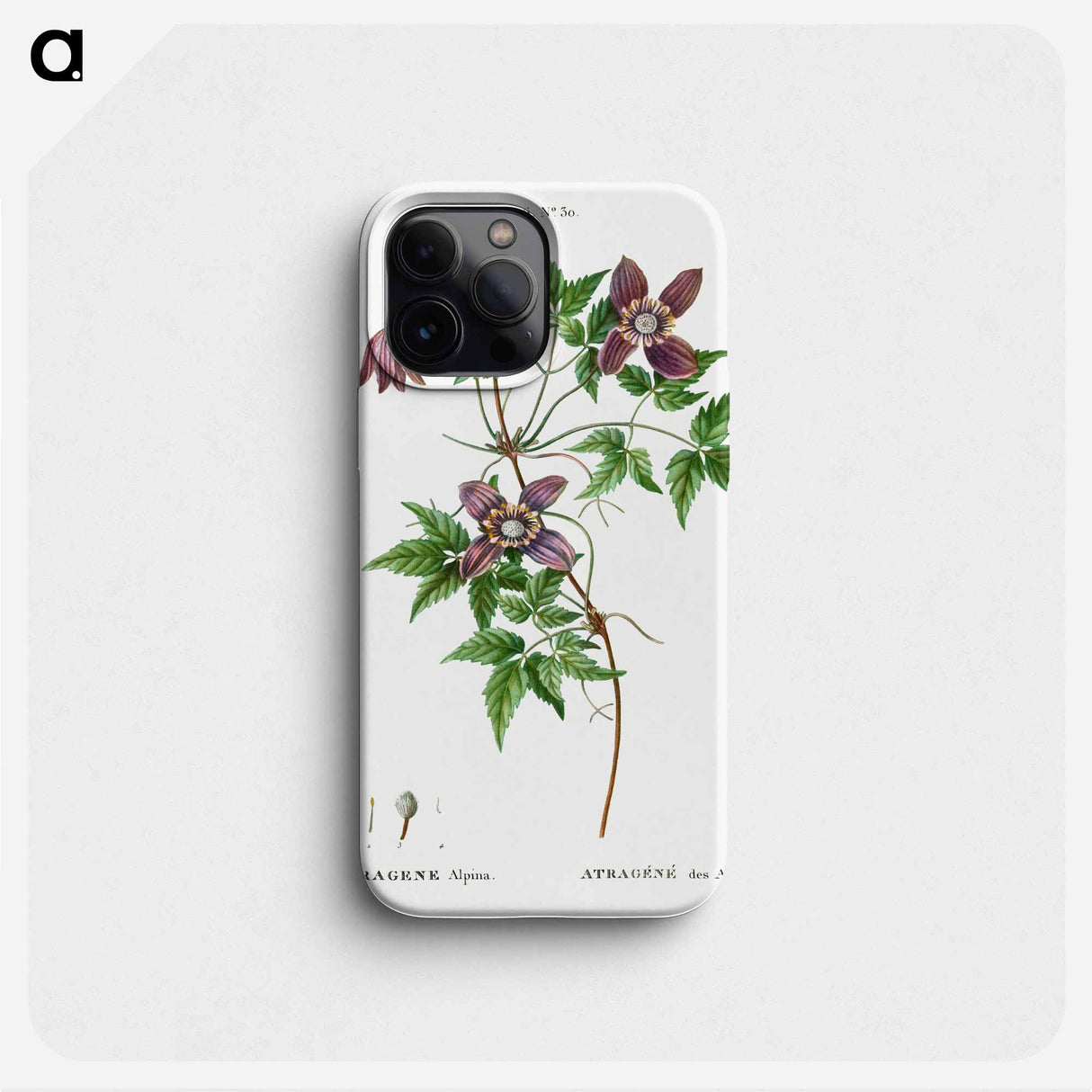 Alpine clematis - ピエール ジョゼフ ルドゥーテ Phone Case.