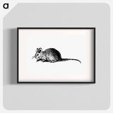 アートポスター-Mouse Engraving
 - 大英図書館 Poster.