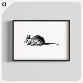 アートポスター-Mouse Engraving
 - 大英図書館 Poster.