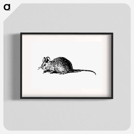 アートポスター-Mouse Engraving
 - 大英図書館 Poster.