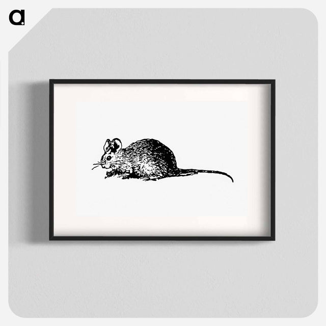 アートポスター-Mouse Engraving
 - 大英図書館 Poster.