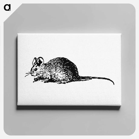 アートパネル-Mouse Engraving
 - 大英図書館 Canvas.