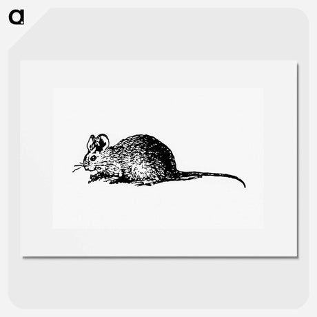 アートポスター-Mouse Engraving
 - 大英図書館 Poster.