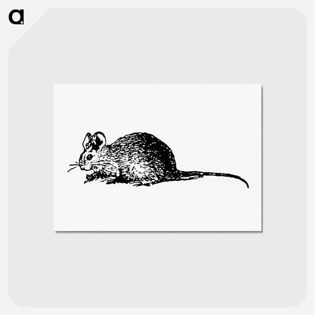 アートポストカード-Mouse Engraving
 - 大英図書館 Postcard.
