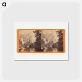 アートポストカード-Pom-pom-pa-sais (the three Brothers)
 - エドワード マイブリッジ Postcard.