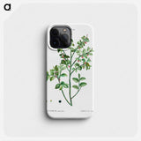 European blueberry - ピエール ジョゼフ ルドゥーテ Phone Case.