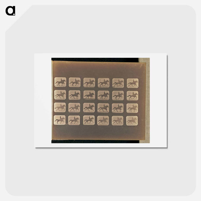 アートポストカード-Trotting
 - エドワード マイブリッジ Postcard.