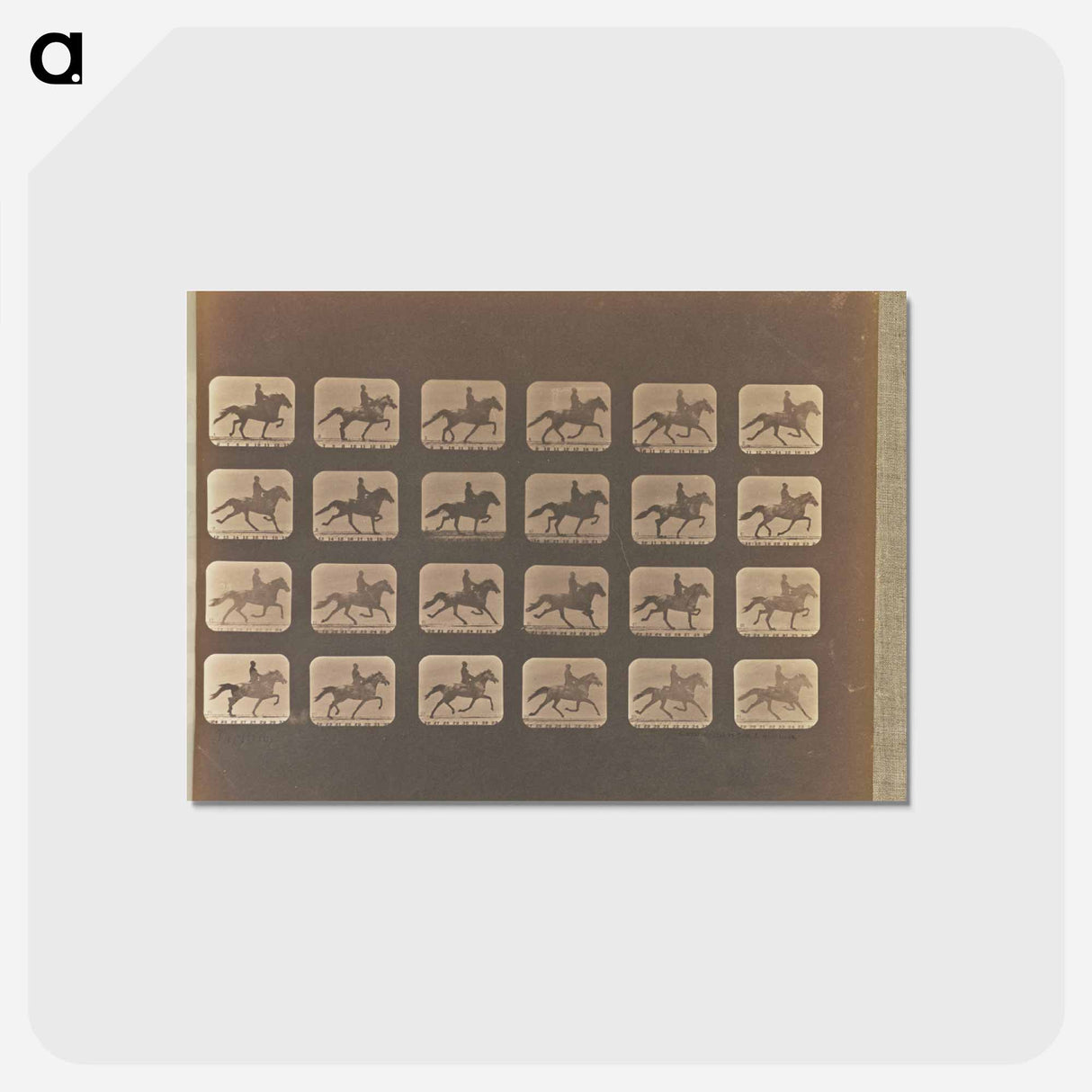 アートポストカード-Trotting
 - エドワード マイブリッジ Postcard.