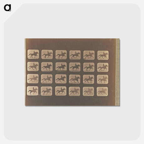 アートポストカード-Trotting
 - エドワード マイブリッジ Postcard.