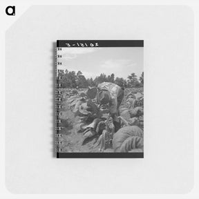 アートメモ帳-Untitled photo - ドロテア ラング Memo.