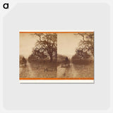 アートポストカード-Buena Vista Vineyard
 - エドワード マイブリッジ Postcard.