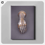 アートパネル-Mitten Gauntlet
 - セントルイス美術館 Canvas.
