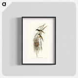 アートポスター-Painted Honey-eater
 - オーストラリアの鳥 Poster.