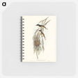 アートメモ帳-Painted Honey-eater
 - オーストラリアの鳥 Memo.
