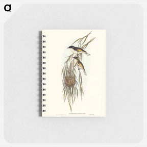 アートメモ帳-Painted Honey-eater
 - オーストラリアの鳥 Memo.