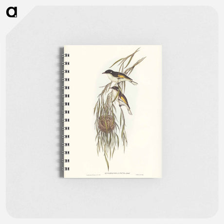 アートメモ帳-Painted Honey-eater
 - オーストラリアの鳥 Memo.