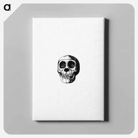 アートパネル-Skull from Voyages and Adventures in Equatorial Africa
 - 大英図書館 Canvas.