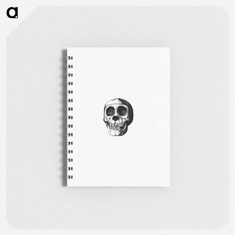 アートメモ帳-Skull from Voyages and Adventures in Equatorial Africa
 - 大英図書館 Memo.