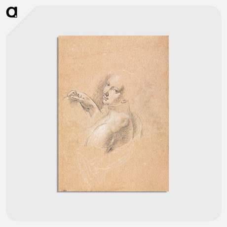 アートポストカード-Verona Sketchbook: Female Nude
 - クリーブランド美術館 Postcard.