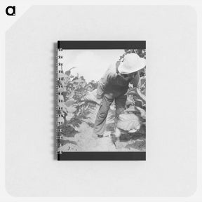 アートメモ帳-Untitled photo - ドロテア ラング Memo.