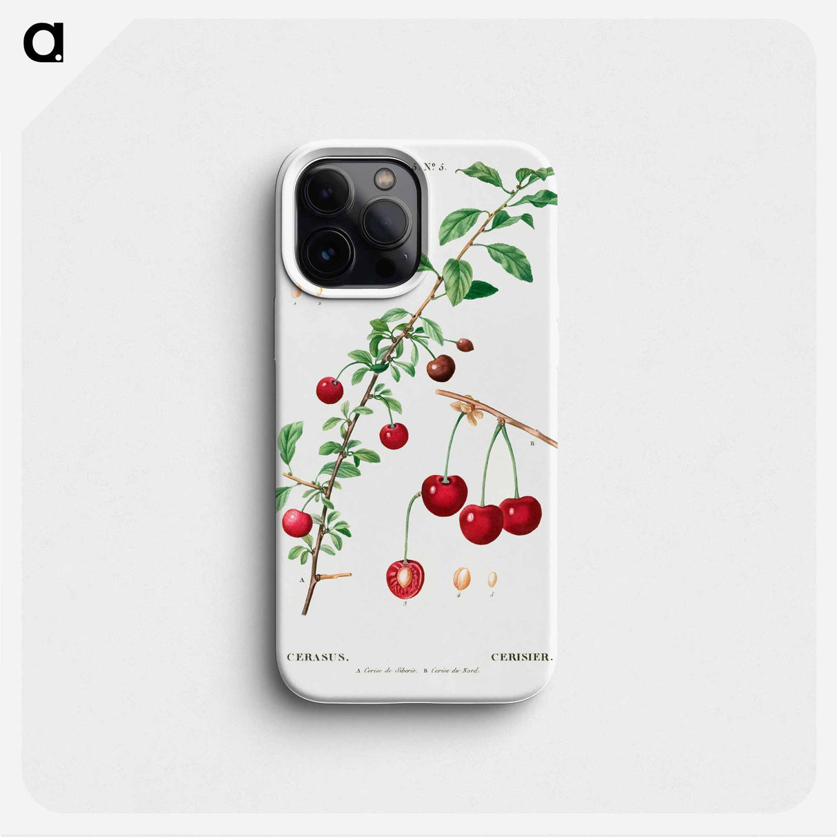 Cherry (Cerasus) - Pierre Joseph Redouté Phone Case.