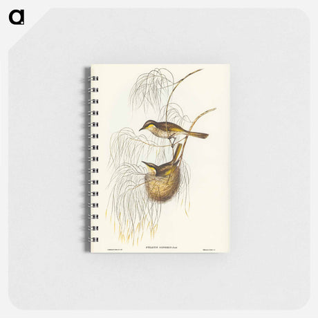 アートメモ帳-Singing Honey-eater
 - オーストラリアの鳥 Memo.