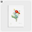 アートポストカード-Mexican flower - ピエール ジョゼフ ルドゥーテ Postcard.