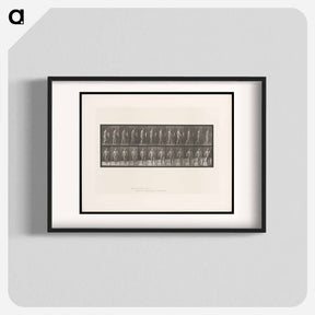 アートポスター-Hemiplegic Man Walking
 - エドワード マイブリッジ Poster.