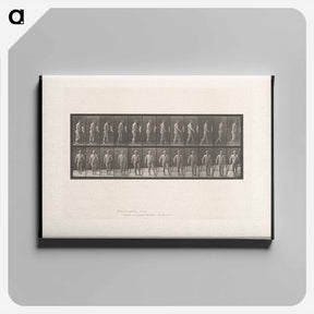 アートパネル-Hemiplegic Man Walking
 - エドワード マイブリッジ Canvas.