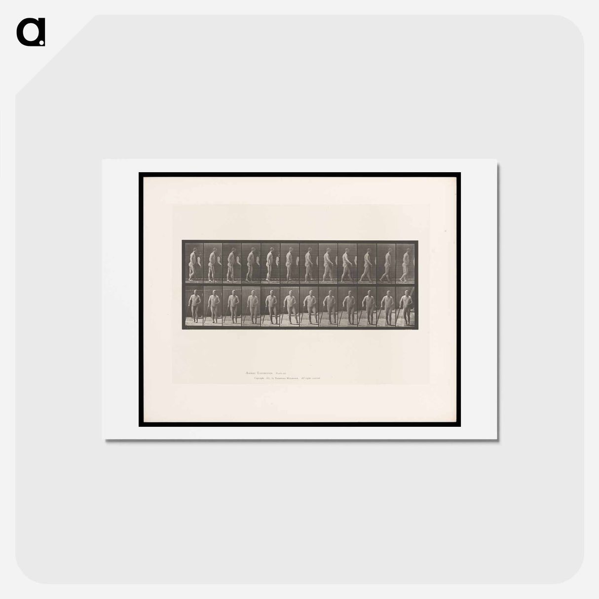 アートポストカード-Hemiplegic Man Walking
 - エドワード マイブリッジ Postcard.