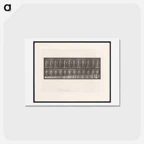 アートポストカード-Hemiplegic Man Walking
 - エドワード マイブリッジ Postcard.